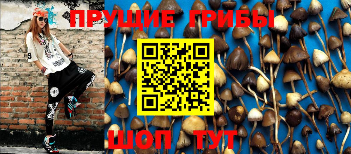 Галлюциногенные грибы ЛСД Апрелевка