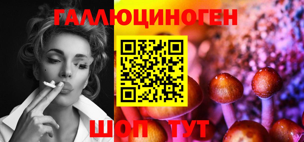 Псилоцибиновые грибы MAGIC MUSHROOMS  Псилоцибиновые грибы MAGIC MUSHROOMS  Апрелевка  Вход с VPN 